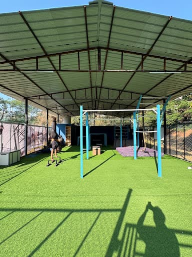 AlphaNation Calisthenics Gym